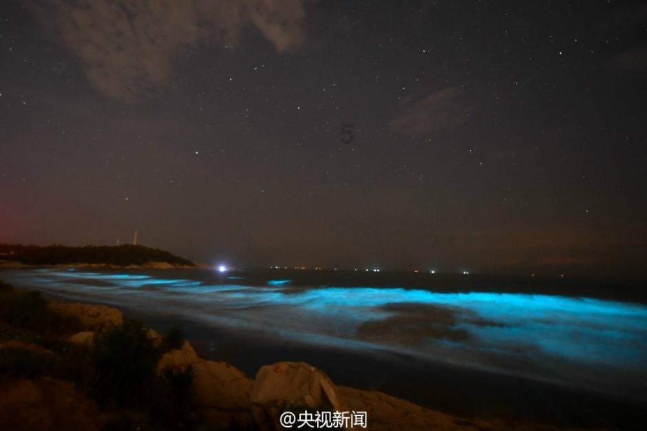 项羽叔父项梁：反秦斗士，定陶一战骄兵轻敌，身死疆场